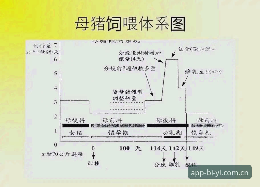 必一体育平台高效使用教程：从官方下载到赛事追踪全流程指南